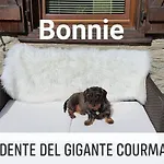Hotel Dente Del Gigante