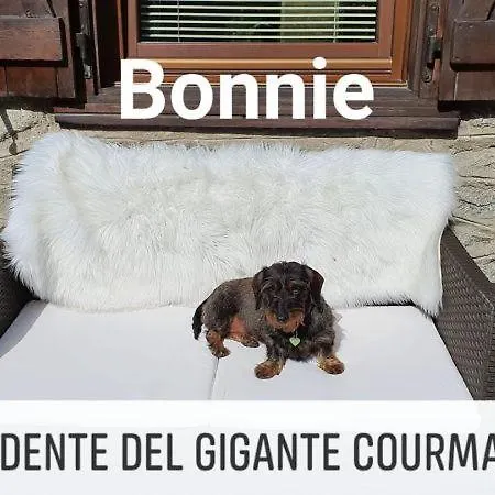 Ξενοδοχείο Dente Del Gigante