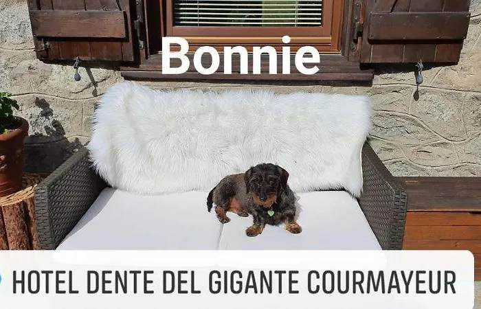 Hotel Dente Del Gigante